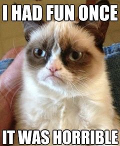 Grumpy-Cat-memes