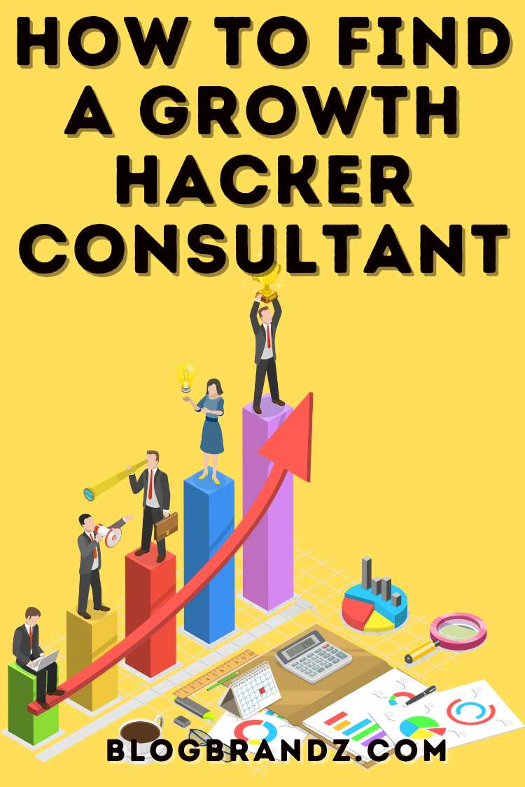 Growth Hacker Consultant