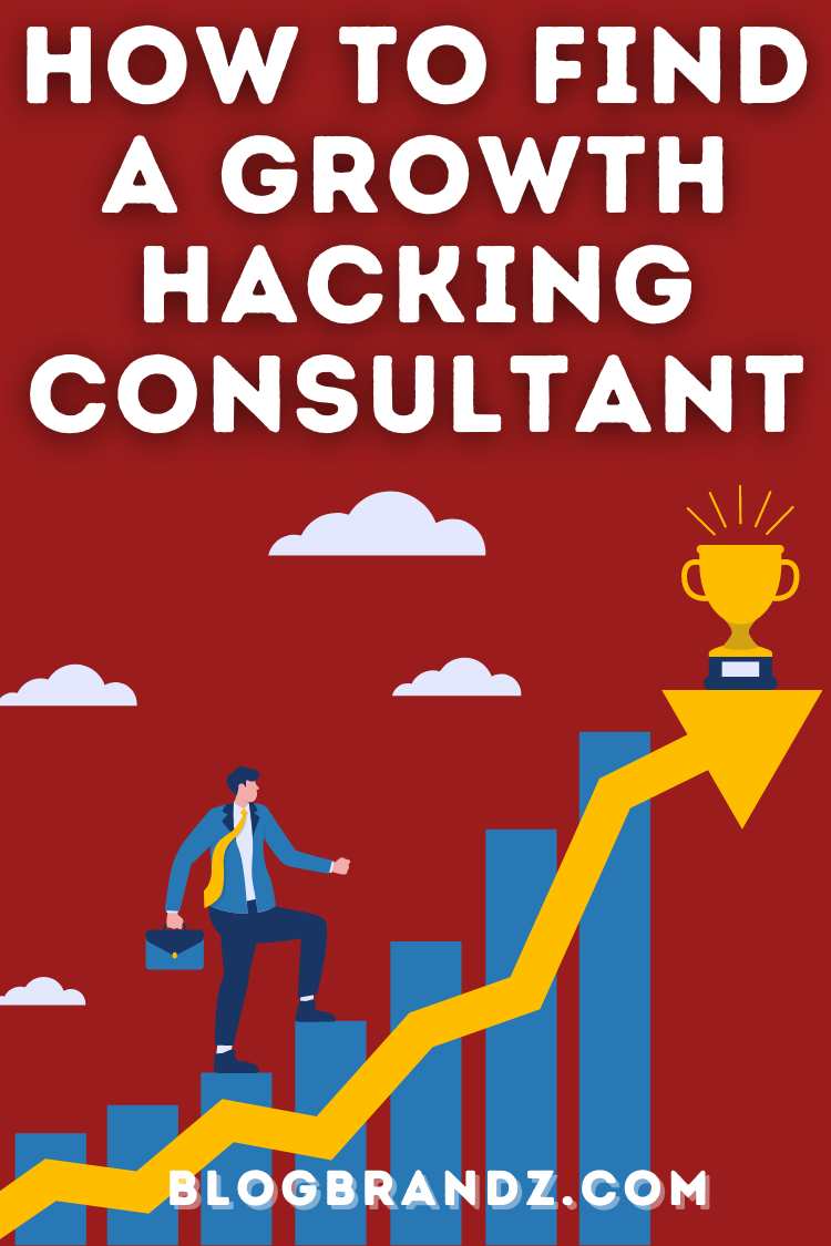 Growth Hacking Consultant